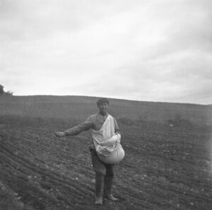 Czarno-biała fotografia mężczyzny idącego po zaoranym polu, siejącego zboże. Mężczyzna w roboczej odzieży, na głowie czapka, na nogach gumiaki. Przez lewe ramię przewieszona biała płachta, prawa ręka z garścią zboża wyciągnięta w bok. Niebo pochmurne.