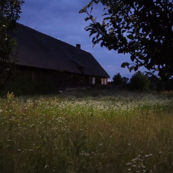 Zdjęcie nr 28 