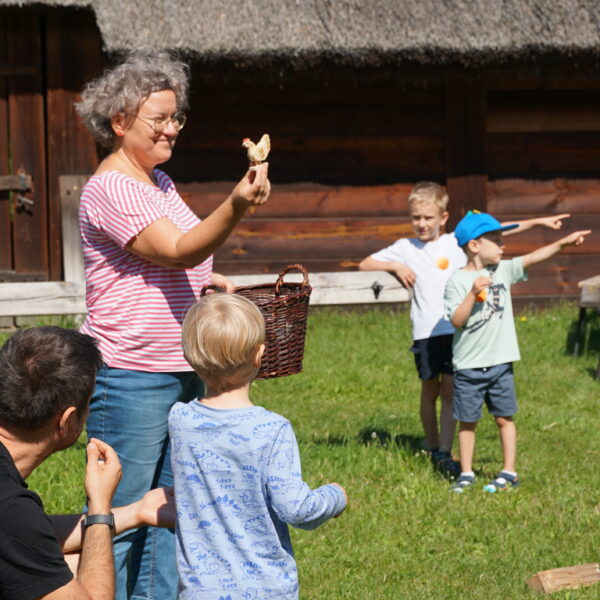 Zdjęcie nr 20 