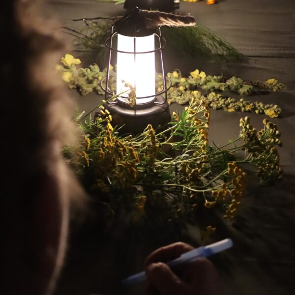 Lampion i zioła na stole 
