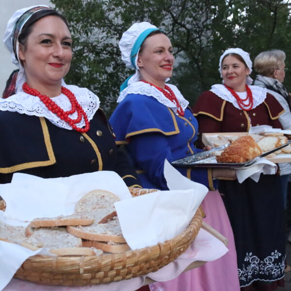 Zdjęcie nr 4 