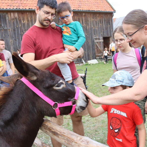 Zdjęcie nr 24 