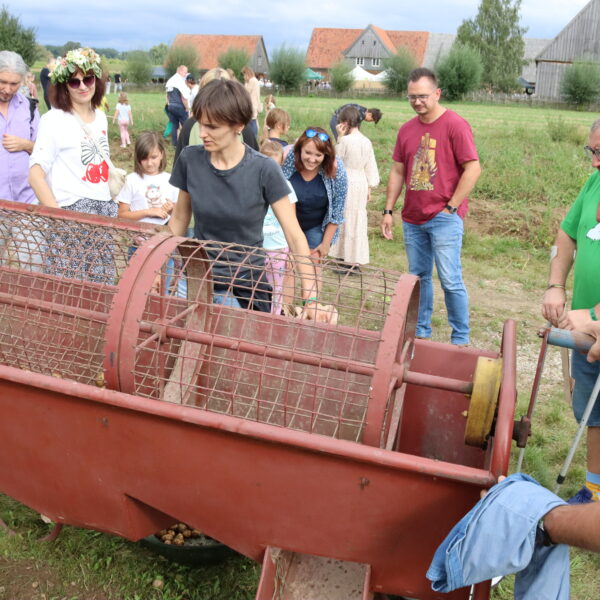 Zdjęcie nr 9 