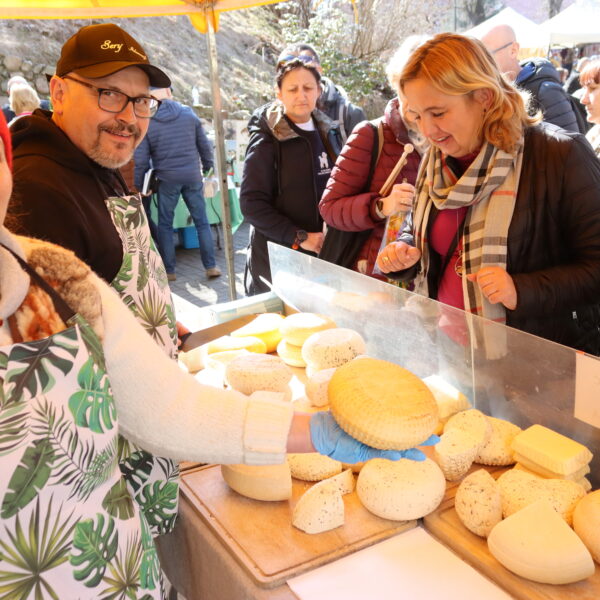 Kiermasz Wielkanocny - stoisko z serami 